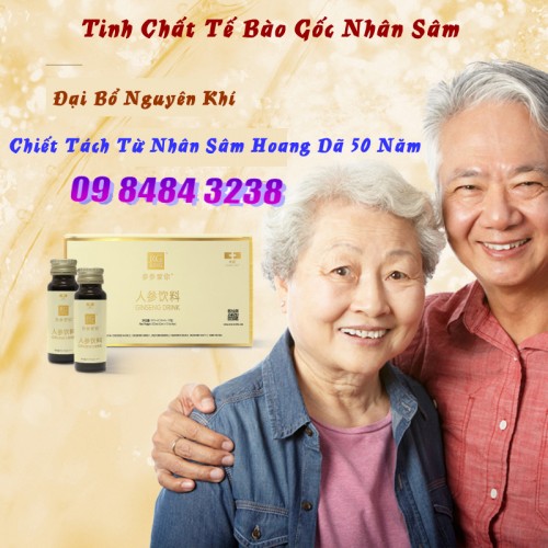 Ginseng Drink Shalom - Tinh Chất Tế Bào Gốc Nhân Sâm Đại Bổ Nguyên Khí Chiết Tách Từ Nhân Sâm Hoang Dã 50 Năm 